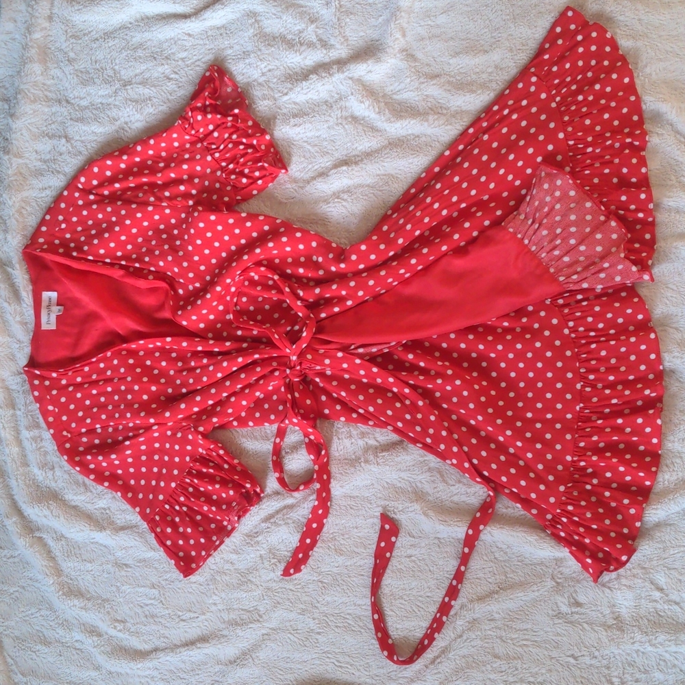 Privacy Please Polkadot LRD - Picture 3 of 5